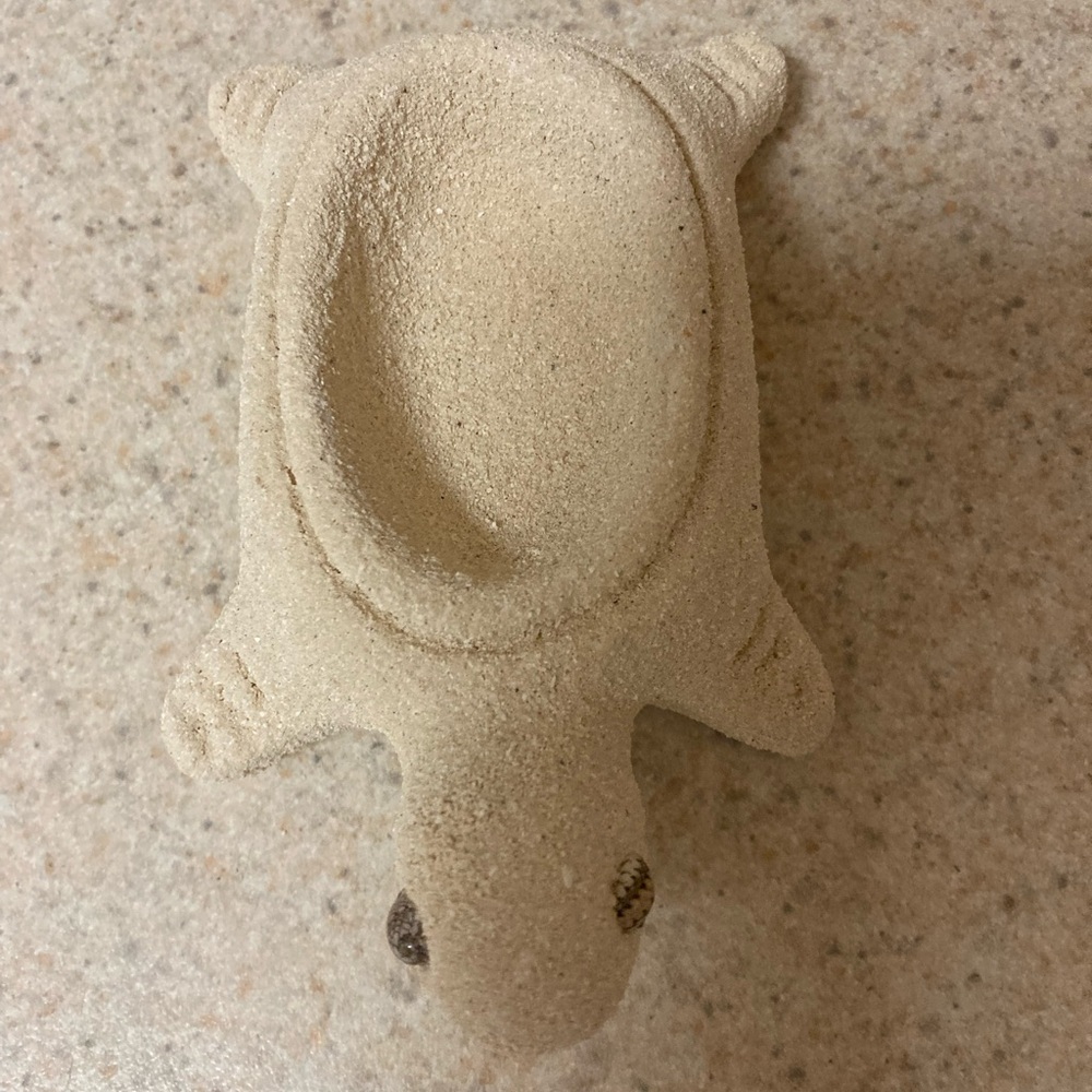 Sandstone Turtle 🐢